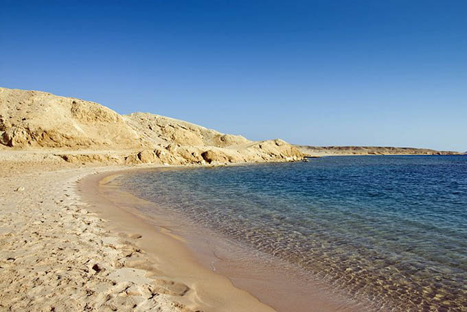 South Sinai's Beach Life