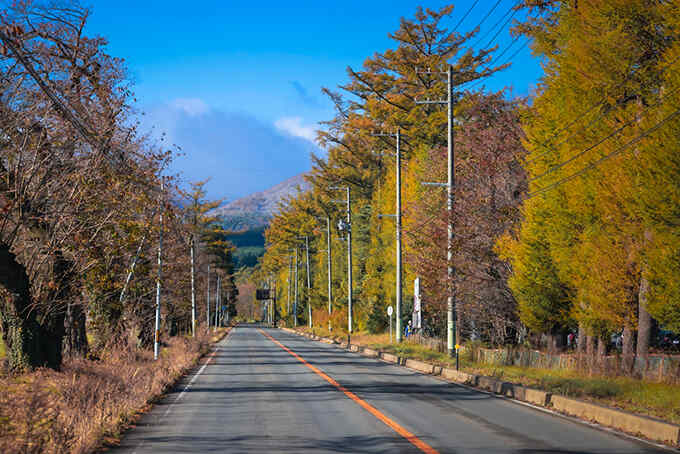 Mùa thu ở Fukushima Nhật Bản