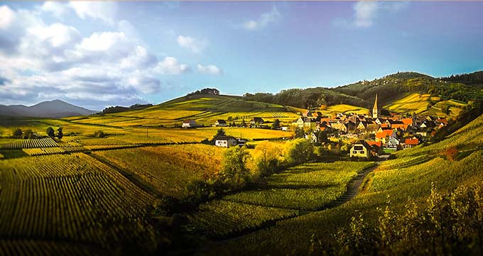 route des vins alsace